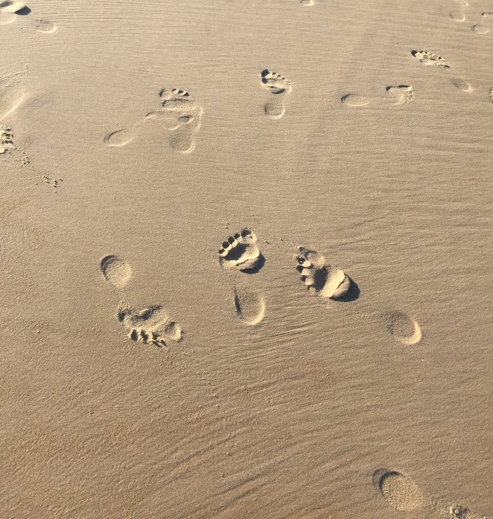 Next steps